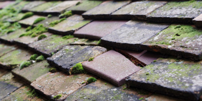 Dixton roof repair costs